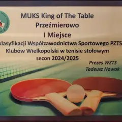 Gdzie grać w tenis stołowy w Poznaniu? Sprawdź najlepsze miejsca