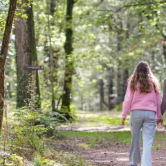 Couple en randonnée à Brocéliande, main dans la main sur un sentier forestier baigné de lumière.