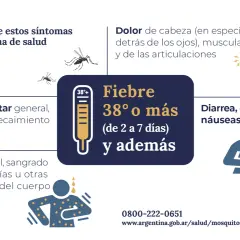 Síntomas del dengue: dolor de cabeza, fiebre alta, malestar general, erupción, diarrea. Consulta médica si presentas estos síntomas.