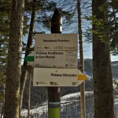 Rozdroże na Nosalowej Przełęczy (1103 m n.p.m.). Szlak na Nosal prowadzi przez Polanę Kuźnicką (55 min) lub Polanę Olczyską (20 min).