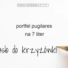 Dawne nazwy portfela: od pugilares do sakwy - historia zmian