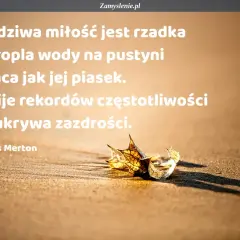 Prawdziwa miłość jest rzadka jak kropla wody na pustyni, gorąca jak piasek. Cytaty o miłości Thomasa Mertona przypominają o jej unikalności.