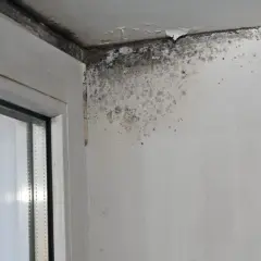 Angolo di una stanza con muffa nera e grigia sul soffitto e sulla parete, segno di come riconoscere le infiltrazioni d'acqua.