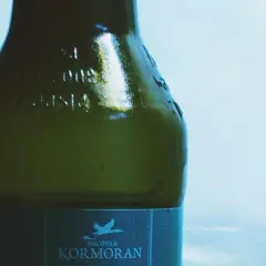 Gdzie kupić 1 na 100 piwo? Sprawdź najlepsze oferty i ceny