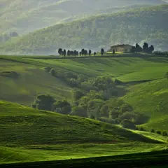 Dolci colline verdi vicino Orciano Pisano, con una casa isolata e cipressi.