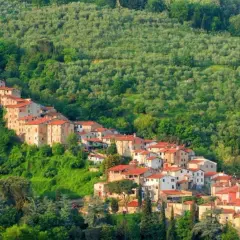 Antichi borghi vicino Pistoia si aggrappano alla collina, circondati da uliveti lussureggianti e vegetazione mediterranea.