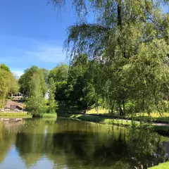 Spokojny staw w pradolinie Redy Łeby, otoczony bujną zielenią drzew i słonecznym niebem.