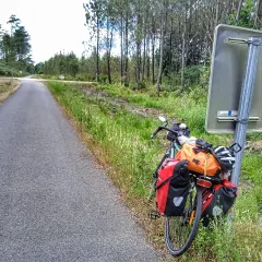 Bicicleta cargada lista para explorar las landas. El camino se abre paso entre pinos y vegetación exuberante.