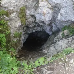 Wejście do Smoczej Jamy w Tatrach, skalne urwisko porośnięte zielenią, z widoczną łańcuchem ułatwiającym zejście.
