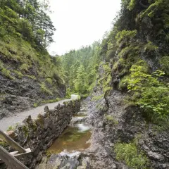Kamienista ścieżka wzdłuż potoku w skalistej dolinie. Zielone zbocza porośnięte trawą i drzewami. Trasa w Dolinie Białego zaprasza na spacer.