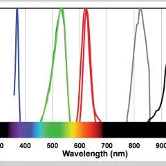 Graph showing detector response vs. wavelength, illustrating the led light color meaning for blue, green, red, and infrared LEDs.