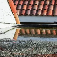 Pfützen auf dem Flachdach trocknen langsam. Darauf liegen Zweige und Kieselsteine.