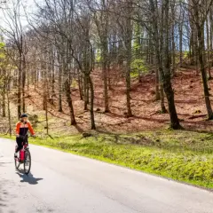 Två personer cyklar på en asfalterad väg genom en lummig skog. Solen lyser genom träden och skapar ett vackert mönster på marken. En idyllisk scen som visar upp Sveriges vackra cykelleder.