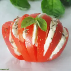 Tomate farcie d'une délicieuse recette avec mozzarella, garnie de basilic frais et d'herbes. Une bouchée d'été parfaite.