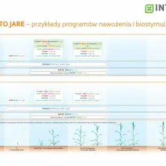 Programy nawożenia i biostymulacji dla żyta jarego: przykłady zastosowania ROOTSTART™, PLONVIT®, BACTIM® i innych preparatów.