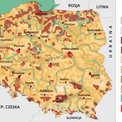 Mapa przedstawia rozmieszczenie gleby w Polsce. Różne kolory oznaczają różne typy gleb, od jasnych po ciemne odcienie brązu i zieleni.