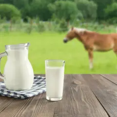 Dzbanek i szklanka świeżego mleka na drewnianym stole. W tle pasie się koń. To jak naturalny alkohol z mleka, prosto z natury.