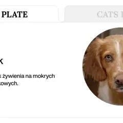 Pies alergik: poradnik żywienia na mokrych karmach monobiałkowych. Jaka karma dla psa z alergią skórną?