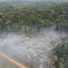 Dym unosi się nad wypaloną ziemią w amazońskiej dżungli, gdzie drzewa ustępują miejsca pustce.