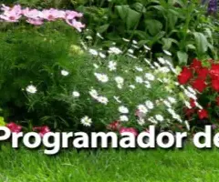 Cómo elegir un programador de riego sencillo para un jardín sin complicaciones