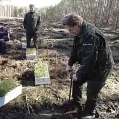 Ile można zarobić na sadzeniu lasu? Poznaj dotacje i premie