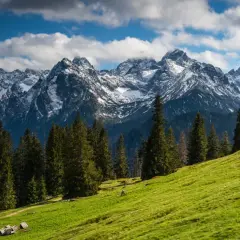 Zielone zbocze z widokiem na ośnieżone szczyty Tatr. Idealne miejsce na wycieczki w Tatry, z lasem iglastym i kilkoma chatkami.