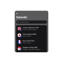 Revolut: lista saloników lotniskowych. Wybierz Londyn Heathrow, Tokio Haneda, Paryż CDG lub Singapur Changi.