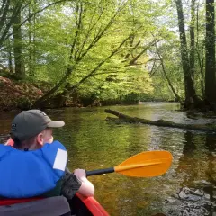 Spływ kajakowy Mrągowo - najlepsze trasy, ceny i rezerwacje
