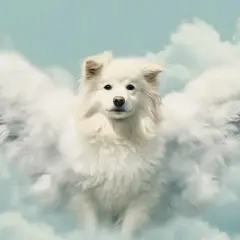 Un perro blanco con alas de nube, como un ángel guardián, en un día especial para las mascotas.