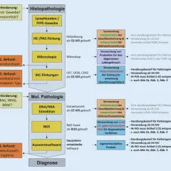 In vitro Diagnostik: Wichtige Informationen zu Tests und Vorschriften