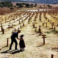 Un hombre y un niño observan un vasto cementerio sad hill, con hileras de cruces de madera bajo un cielo despejado.
