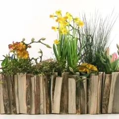 Ein rustikaler Blumenkasten, selbst gebaut aus Holzstücken, gefüllt mit gelben Narzissen, orangefarbenen Primeln und einer rosa Tulpe.