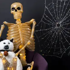A skeleton with a plush dog, perfect for spooky halloween decorating ideas indoor. A light-up spiderweb adds to the eerie ambiance.