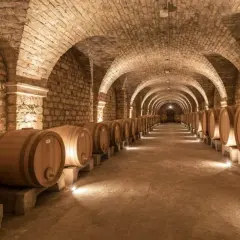 Allées voûtées d'une cave à vin à Beaune, remplies de rangées de fûts en bois. Une visite de cave Beaune inoubliable.