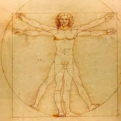El hombre de Vitruvio, un estudio de proporciones humanas idealizadas, se muestra dentro de un círculo y un cuadrado.