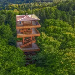 Wieża widokowa na najwyższym wzniesieniu na Kaszubach, otoczona bujnym lasem.