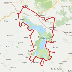 Trasa rowerowa velo 10 okrąża Jezioro Drużno, prowadząc przez malownicze tereny rezerwatu przyrody.