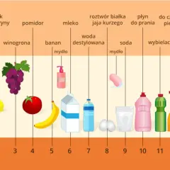 Wykres pH pokazuje, że niektóre produkty spożywcze, jak winogrona czy pomidory, mają niższe pH, co może wpływać na wysokie pH moczu.