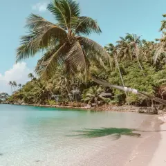 Rajska plaża z palmami i krystalicznie czystą wodą. Zastanawiasz się, ile się leci do Tajlandii, by poczuć ten spokój?