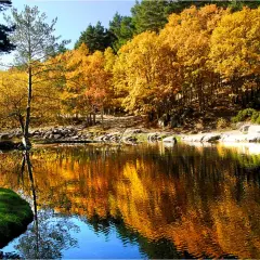 Reflejos dorados de otoño en un lago sereno en Rascafría, Madrid.