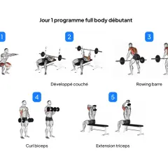 Programme full body débutant : squat, développé couché, rowing barre, curl biceps, extension triceps.