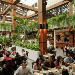 Gente disfrutando en un restaurante con mucha vegetación. Un lugar ideal donde comer en San José, Almería, con ambiente tropical.