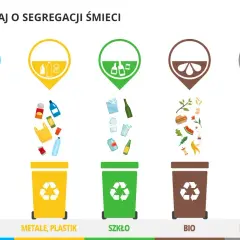 Karton po mleku: Gdzie wyrzucić? Żółty kosz to klucz!