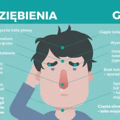Ilustracja porównuje objawy przeziębienia i grypy. Przeziębienie charakteryzuje się lekkim osłabieniem, katarem i łagodnym kaszlem.