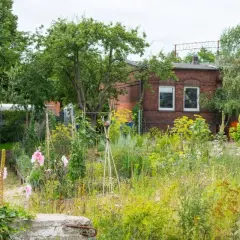 Un giardino rigoglioso e selvaggio, dove si può lasciare un terreno incolto per far prosperare fiori e piante spontanee, con una casa in mattoni sullo sfondo.