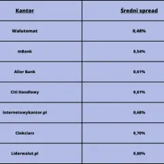Ranking kantorów internetowych: Wybierz najlepsze oferty i uniknij strat