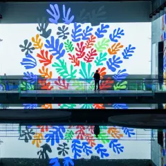 A lone figure stands on a walkway surrounded by vibrant Matisse cut-outs projected onto walls and reflected in the water at the Bassins des Lumières.