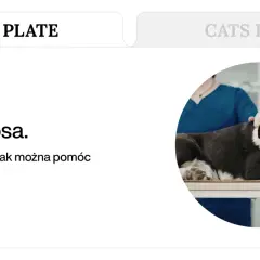 Pies z objawami refluksu leży na stole weterynaryjnym. Tekst informuje o rozpoznawaniu i leczeniu refluksu u psa dietą.