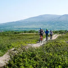 Tre cyklister på stig nära Blåhammaren Storulvån, med fjäll i bakgrunden.