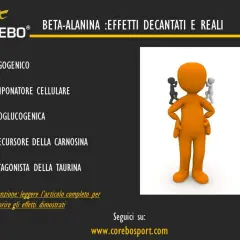 Beta-alanina: ergo, tampone cellulare, precursore carnosina. Scopri a cosa serve per migliorare le prestazioni.